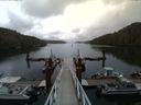 ./images/calvert/dock/20140608/dock20140608_200005.jpg