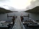 ./images/calvert/dock/20140608/dock20140608_201503.jpg