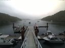 ./images/calvert/dock/20140614/dock20140614_130502.jpg
