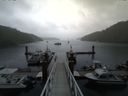 ./images/calvert/dock/20140614/dock20140614_132501.jpg