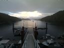 ./images/calvert/dock/20140614/dock20140614_204504.jpg