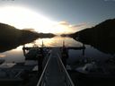 ./images/calvert/dock/20140616/dock20140616_054501.jpg