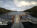 ./images/calvert/dock/20140617/dock20140617_170503.jpg