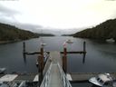 ./images/calvert/dock/20140618/dock20140618_102504.jpg