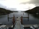 ./images/calvert/dock/20140618/dock20140618_114504.jpg