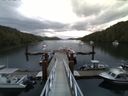 ./images/calvert/dock/20140619/dock20140619_052504.jpg