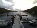 ./images/calvert/dock/20140619/dock20140619_053503.jpg