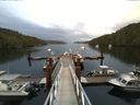 ./images/calvert/dock/20140619/dock20140619_061001.jpg