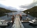 ./images/calvert/dock/20140619/dock20140619_061502.jpg