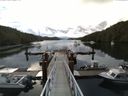 ./images/calvert/dock/20140619/dock20140619_064502.jpg