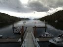 ./images/calvert/dock/20140619/dock20140619_095501.jpg
