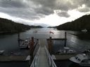 ./images/calvert/dock/20140619/dock20140619_102504.jpg