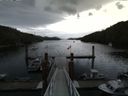 ./images/calvert/dock/20140619/dock20140619_115004.jpg