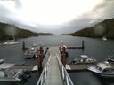 ./images/calvert/dock/20140619/dock20140619_162002.jpg
