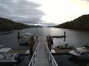 ./images/calvert/dock/20140620/dock20140620_065502.jpg