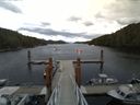 ./images/calvert/dock/20140620/dock20140620_144501.jpg