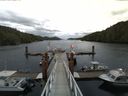 ./images/calvert/dock/20140621/dock20140621_080002.jpg