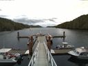 ./images/calvert/dock/20140621/dock20140621_082003.jpg