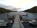 ./images/calvert/dock/20140623/dock20140623_203002.jpg