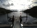 ./images/calvert/dock/20140630/dock20140630_092003.jpg