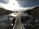 ./images/calvert/dock/20140701/dock20140701_072502.jpg