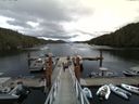 ./images/calvert/dock/20140702/dock20140702_144003.jpg