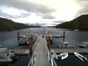 ./images/calvert/dock/20140702/dock20140702_152002.jpg