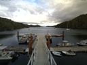 ./images/calvert/dock/20140702/dock20140702_160501.jpg