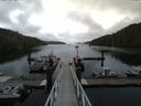 ./images/calvert/dock/20140703/dock20140703_162002.jpg