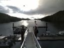 ./images/calvert/dock/20140704/dock20140704_073502.jpg