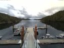 ./images/calvert/dock/20140704/dock20140704_122504.jpg