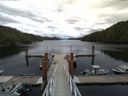 ./images/calvert/dock/20140706/dock20140706_152504.jpg