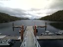 ./images/calvert/dock/20140706/dock20140706_165503.jpg