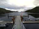 ./images/calvert/dock/20140706/dock20140706_185502.jpg