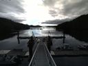 ./images/calvert/dock/20140708/dock20140708_082003.jpg