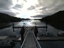 ./images/calvert/dock/20140708/dock20140708_083003.jpg