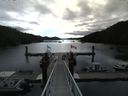 ./images/calvert/dock/20140708/dock20140708_090002.jpg
