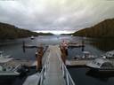 ./images/calvert/dock/20140708/dock20140708_215003.jpg