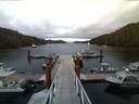 ./images/calvert/dock/20140708/dock20140708_215503.jpg
