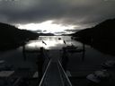 ./images/calvert/dock/20140709/dock20140709_071503.jpg
