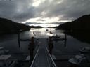 ./images/calvert/dock/20140709/dock20140709_072502.jpg