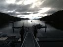 ./images/calvert/dock/20140709/dock20140709_080503.jpg