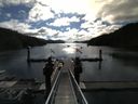 ./images/calvert/dock/20140709/dock20140709_083001.jpg