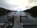 ./images/calvert/dock/20140713/dock20140713_104501.jpg