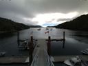 ./images/calvert/dock/20140714/dock20140714_102504.jpg