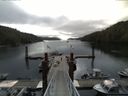 ./images/calvert/dock/20140716/dock20140716_082003.jpg