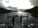 ./images/calvert/dock/20140716/dock20140716_085002.jpg
