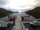 ./images/calvert/dock/20140717/dock20140717_051002.jpg