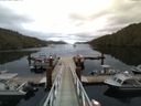 ./images/calvert/dock/20140717/dock20140717_051502.jpg