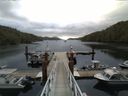 ./images/calvert/dock/20140717/dock20140717_062002.jpg
